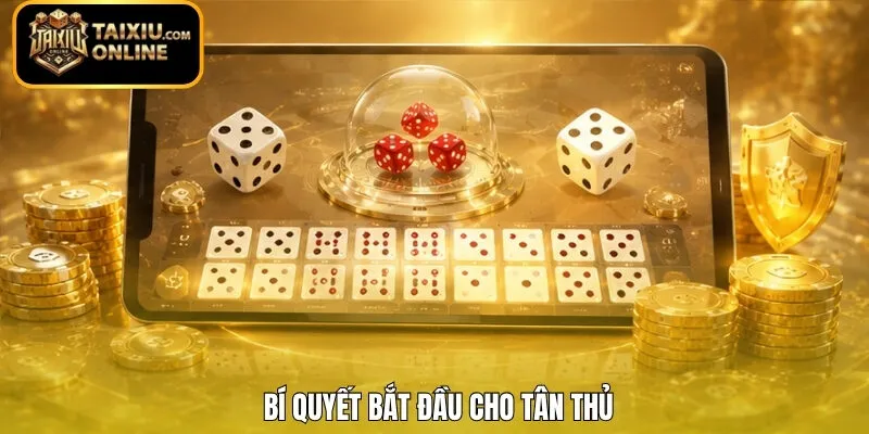 Bí quyết bắt đầu cho tân thủ 